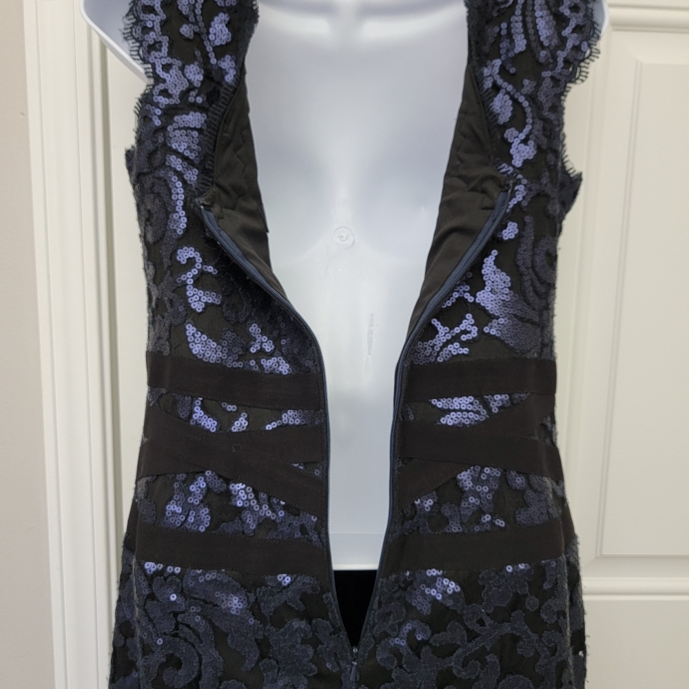 Tadashi Shoji Sleeveless Embroidered Sequin Lace Banded Sheath Cocktail Dress 6 - Picture 8 of 15